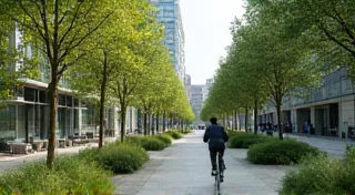Sustainable Transportation: Options Beyond Driving